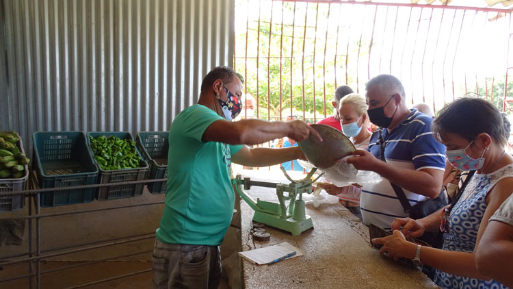 Punto de venta de productos agropecuarios en Jorobada, Manicaragua. Punto de venta de productos agropecuarios en Jorobada, Manicaragua.