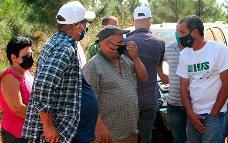 Manuel Portela Fuentes del írea de Manejo Forestal de Gavilanes-Punta Felipe. Manuel Portela Fuentes del írea de Manejo Forestal de Gavilanes-Punta Felipe.