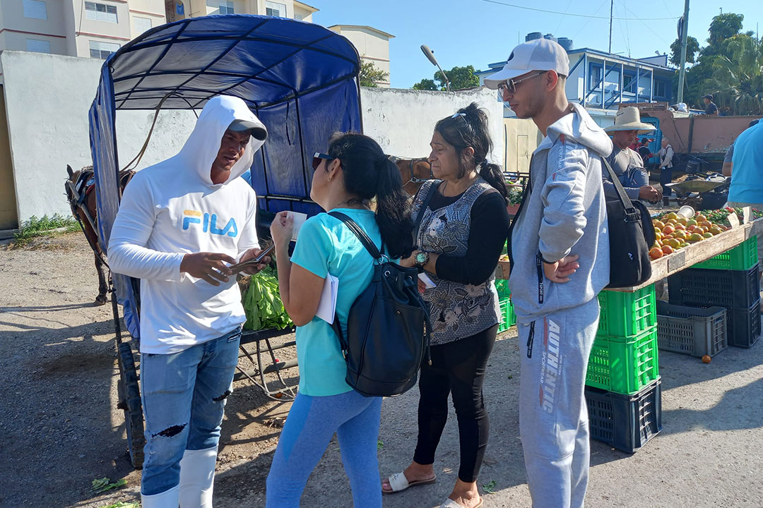 Grupo multidisciplinario controla la aplicación de precios máximos a productos agropecuarios.