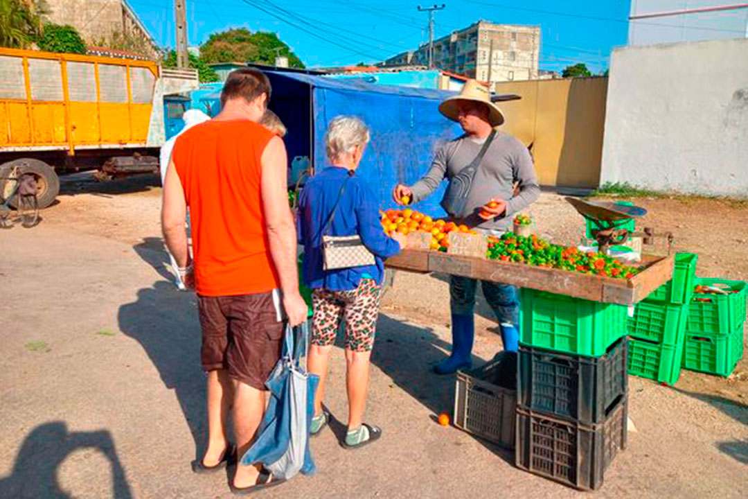 Tarima de venta en feria agropecuaria.