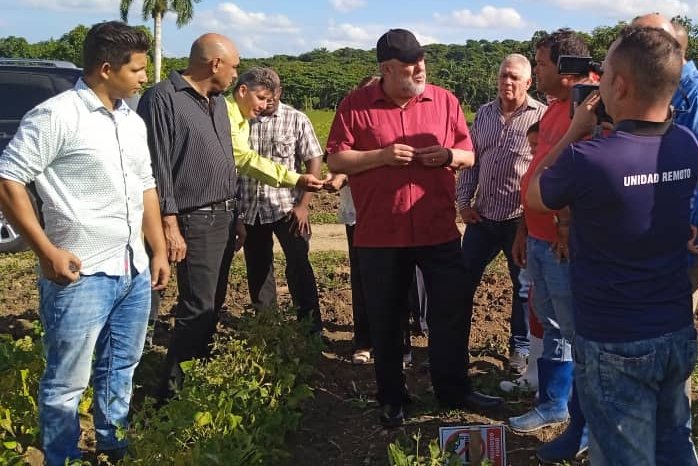 Marrero Cruz elogió los esfuerzos del campesino Yunier Hernández Guerra, de la CCS 21 de Septiembre, en los empeños por fomentar el cultivo del frijol y demostrar de que sí se puede. (Foto: Lisandra Borges)   
