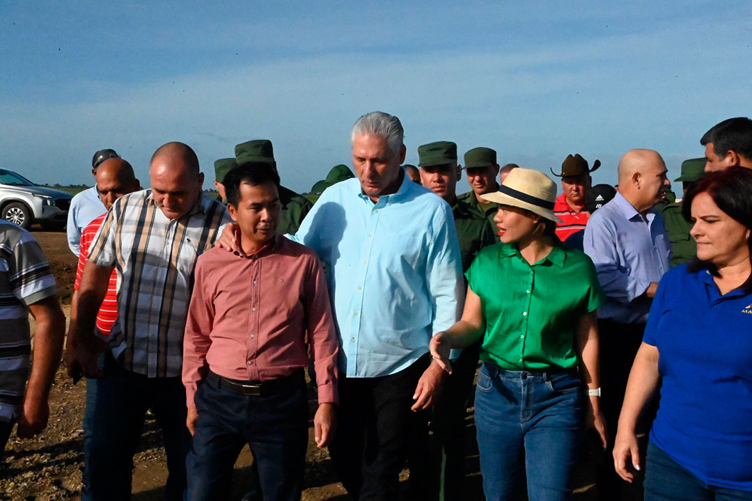 Presidente Díaz-Canel dialoga con amigos vietnamitas en Los Palacios.