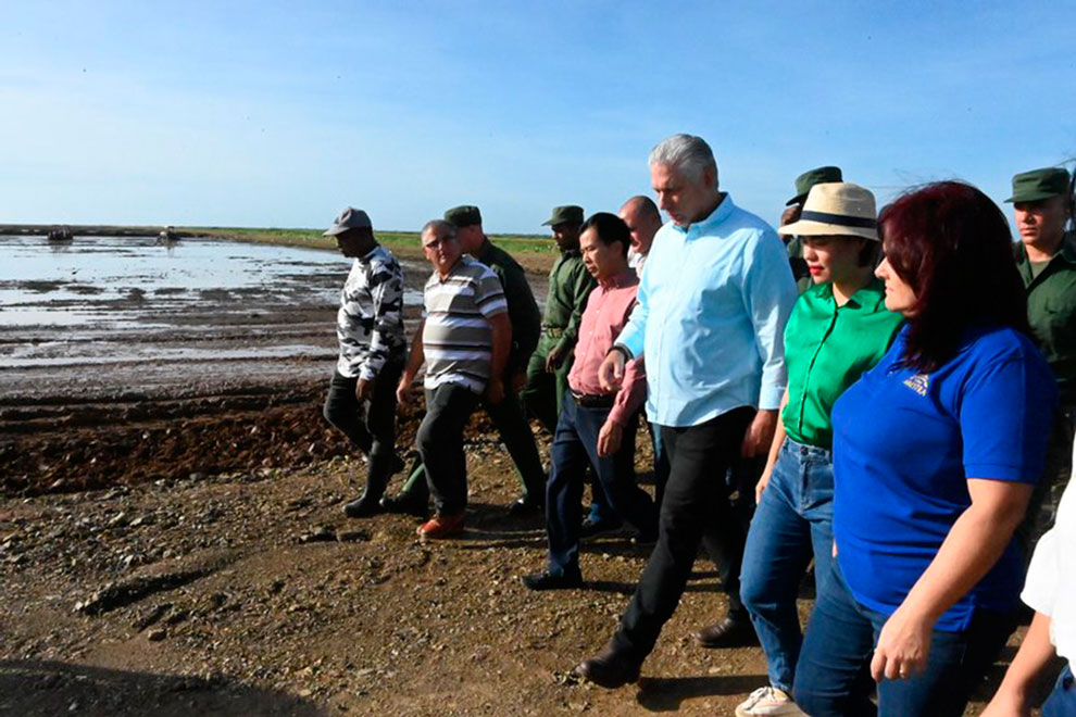 Presidente Díaz-Canel en Aremisa.