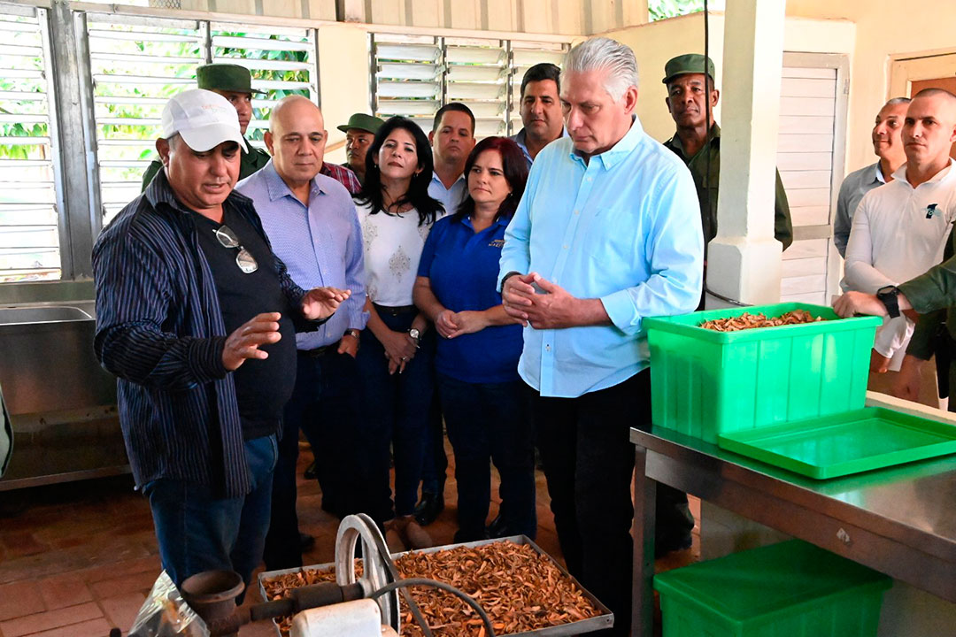Productor Onay Martínez, en finca Tierra Brava.