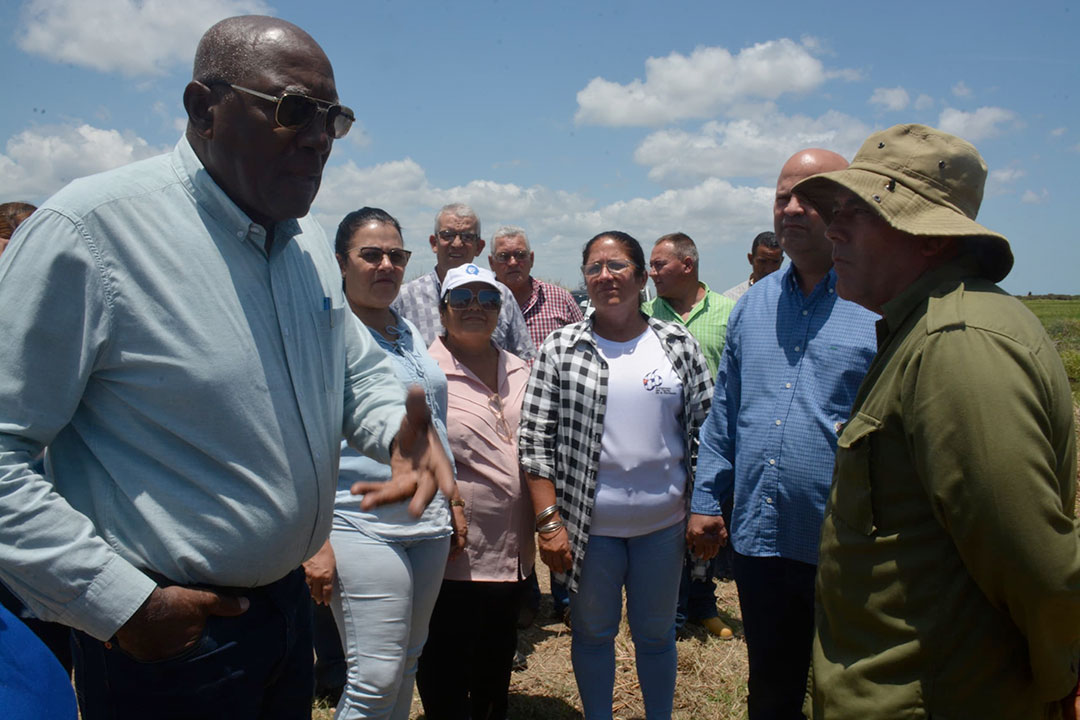 Salvador Valdés Mesa, vicepresidente cubano, conversa con productor de arroz de Encrucijada, Villa Clara.