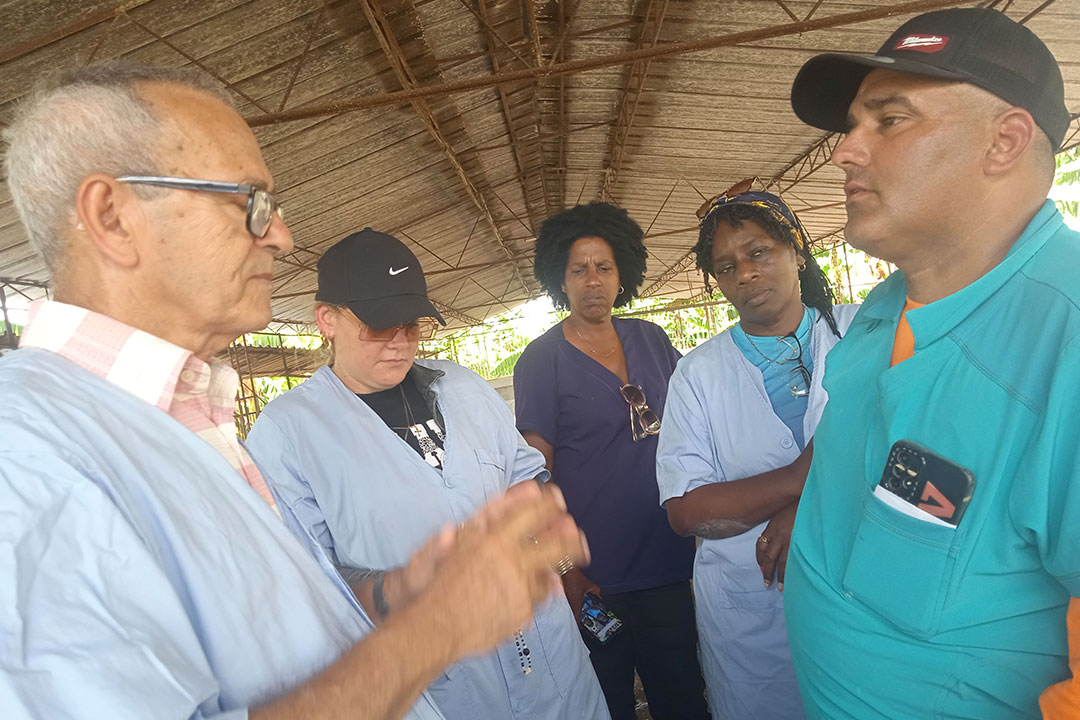 El funcionario Antonio Orta Rodríguez conversa con Humberto Reyes Padrón, director de la UEB Multiplicadora El Negrito, dedicada a la cría de ganado porcino.