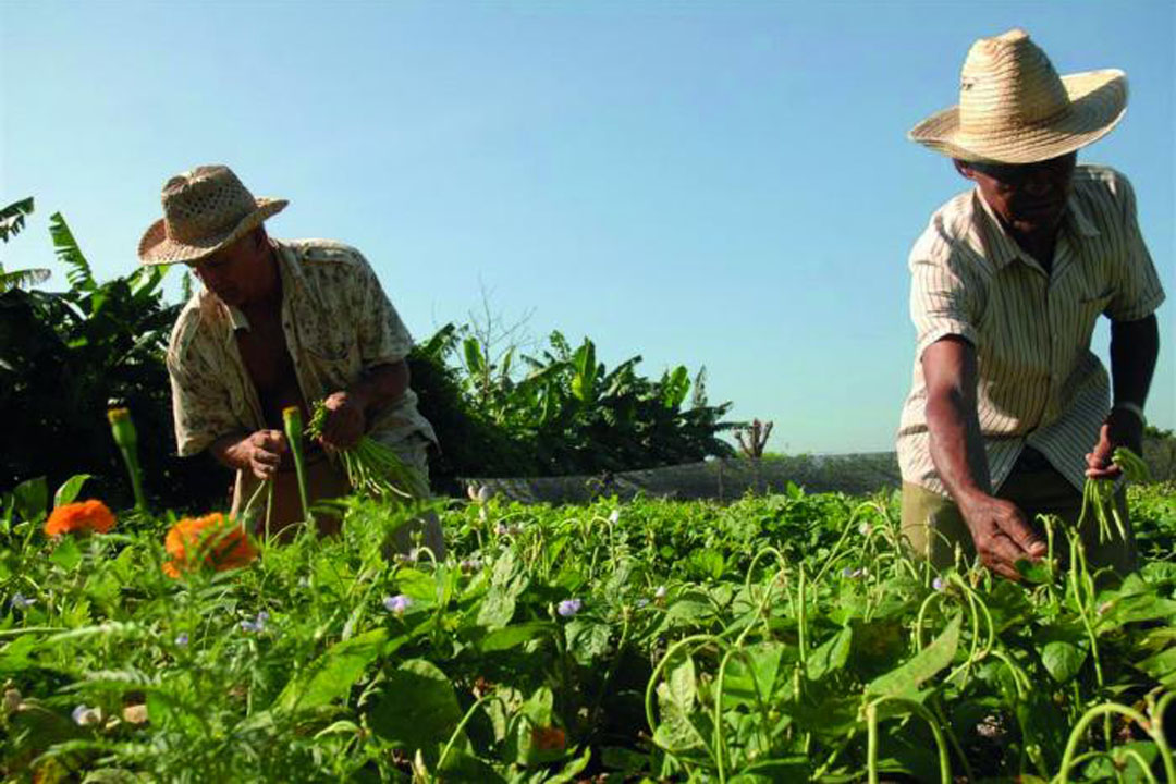 Vanguardia - Villa Clara - Cuba