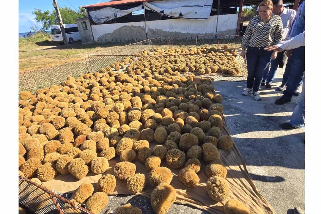 Vanguardia - Villa Clara - Cuba