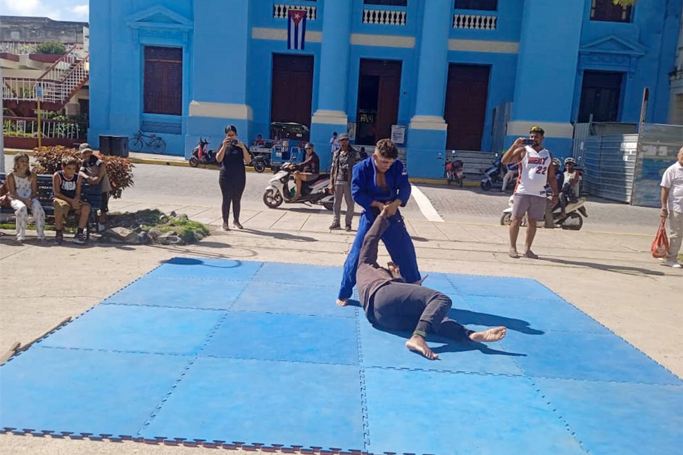 Exhibición de artes marciales.
