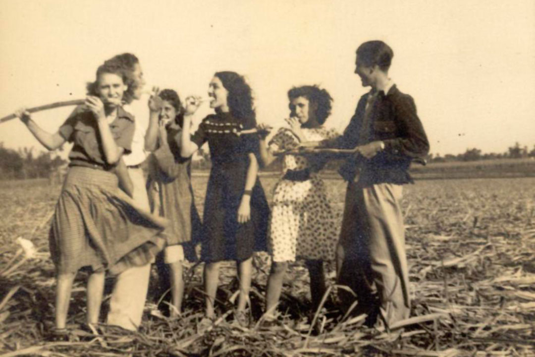 Haydée Santamaría en su adolescencia junto a un grupo de amigos en un cañaveral del central Constancia.