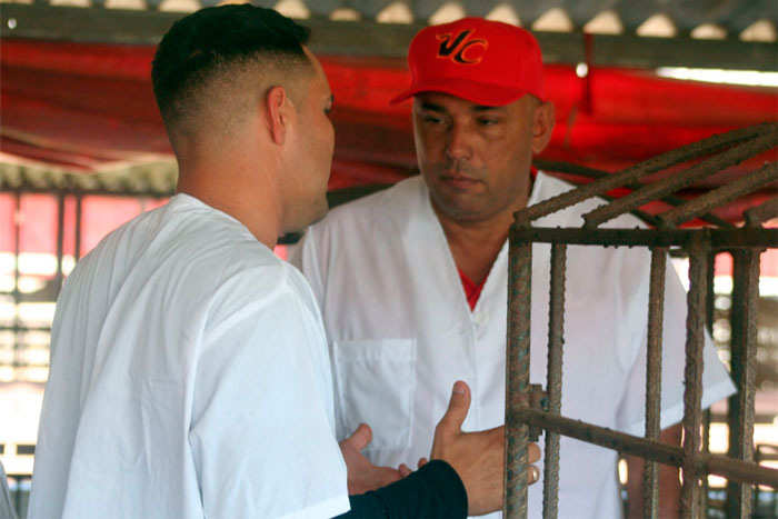 El porcicultor Yusdany Rojas Pérez aseguró que entregará crías de cerdo de capa oscura a los módulos pecuarios del municipio. (Foto: Luis Machado Ordetx)