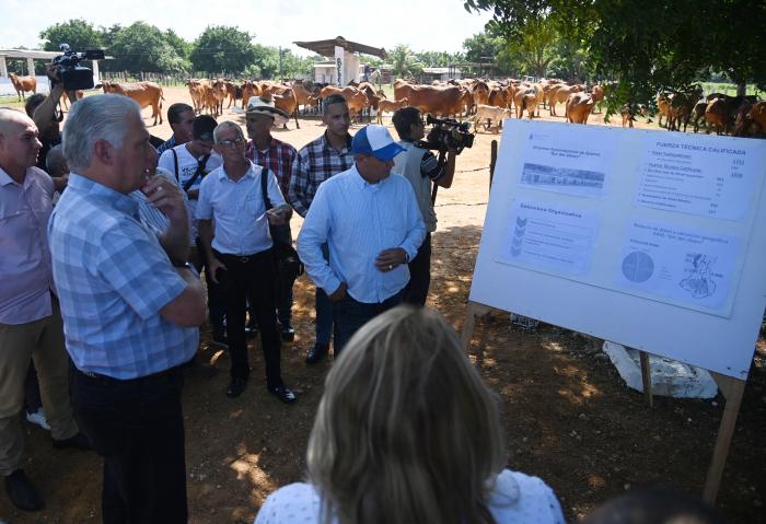 Miguel Díaz-Canel de visita en un centro laboral
