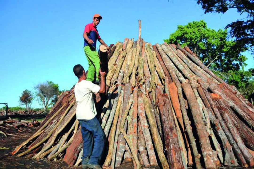 Vanguardia - Villa Clara - Cuba