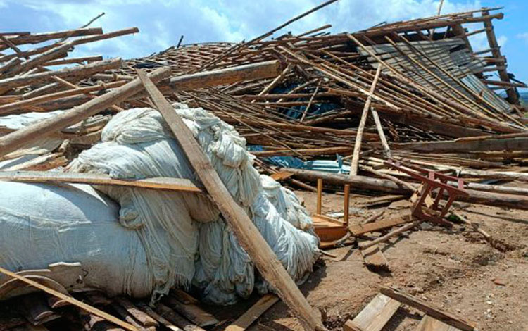 Casa de curación de tabaco destruida en Pinar del Río por el paso del huracán Ian. Casa de curación de tabaco destruida en Pinar del Río por el paso del huracán Ian.
