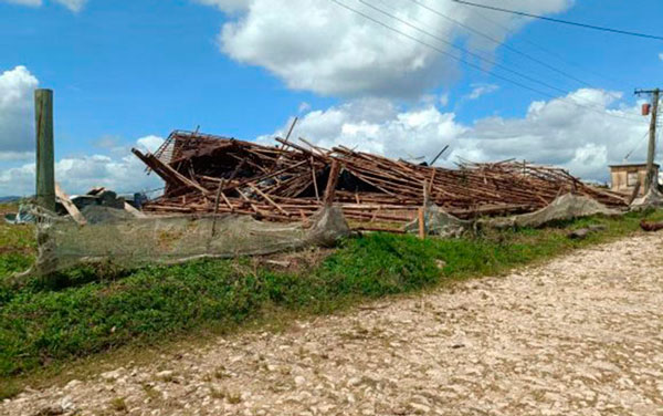 Zona del municipio de San Juan y Martínez, en Pinar del Río, con grandes daños en la industria tabacalera. Zona del municipio de San Juan y Martínez, en Pinar del Río, con grandes daños en la industria tabacalera.