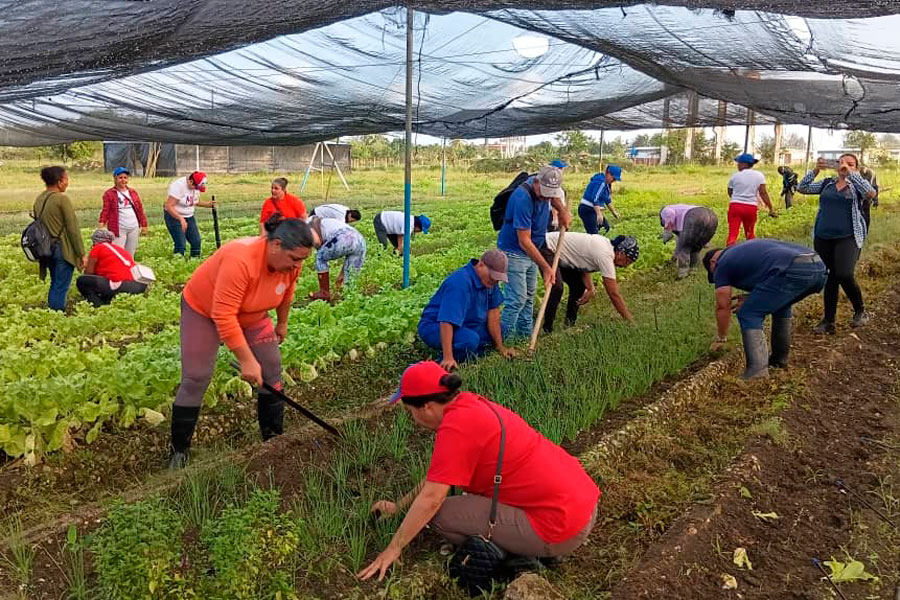 Vanguardia - Villa Clara - Cuba