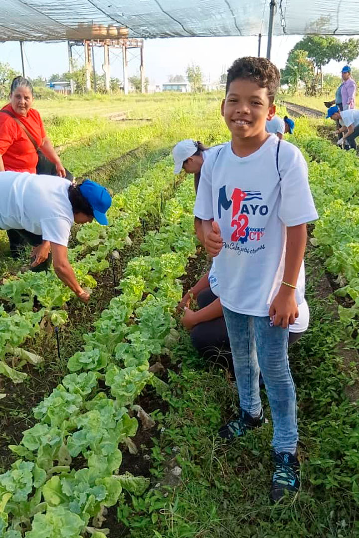 Niño en el trabajo voluntario.