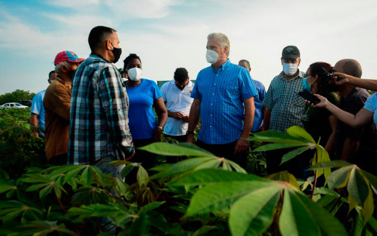 Foto: Estudios Revolución