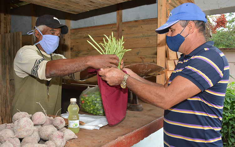 Punto de venta agropecuario en la comunidad La Chinchila, en Sagua la Grande. Punto de venta agropecuario en la comunidad La Chinchila, en Sagua la Grande.