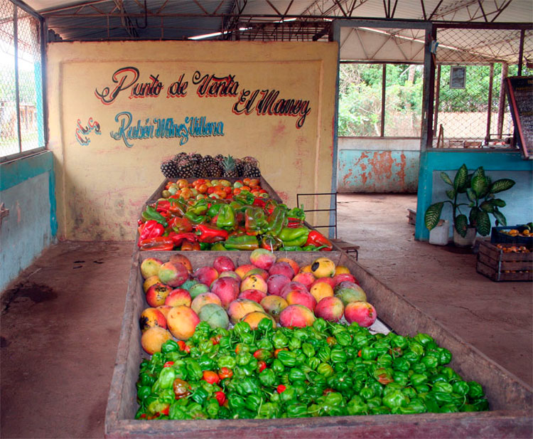 Punto de venta de productos agropecuarios en Santo Domingo, Villa Clara, Cuba. Punto de venta de productos agropecuarios en Santo Domingo, Villa Clara, Cuba.
