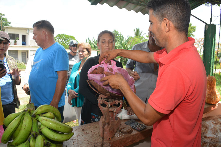 Punto de venta de productos agropecuarios Los Cocos, en Quemado de Gí¼ines. Punto de venta de productos agropecuarios Los Cocos, en Quemado de Gí¼ines.