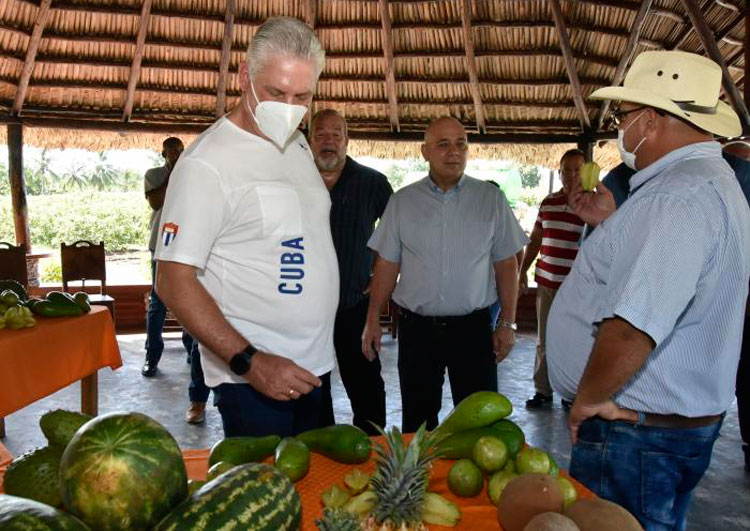 Miguel Díaz-Canel en recorrido por finca en Cienfuegos. Miguel Díaz-Canel en recorrido por finca en Cienfuegos.