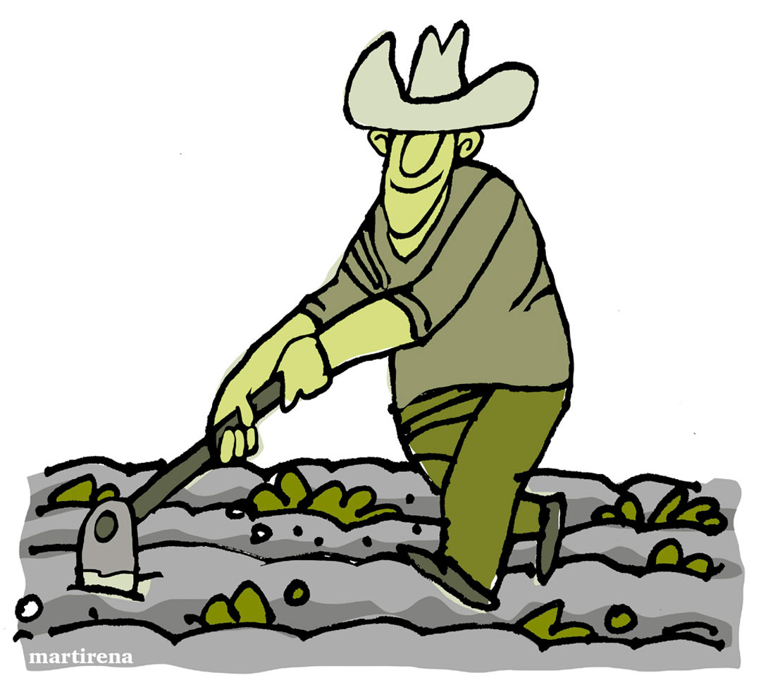 Ilustración de Alfredo Martirena sobre la agricultura.