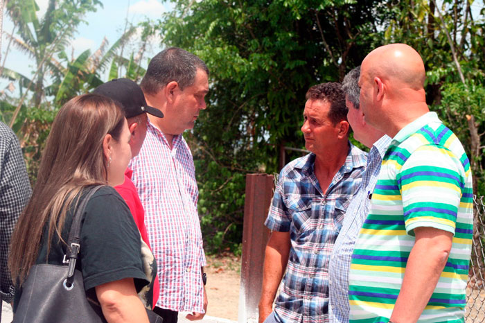 La siembra de granos para fabricar piensos nacionales constituye una alternativa en la crianza de cerdos, y refuerza la economía nacional y la alimentación del pueblo, dijo Duarte Ortega. (Foto: Luis Machado Ordetx)