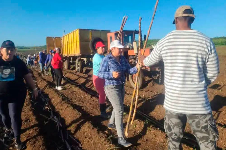 Trabajo voluntario.