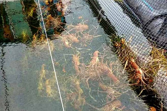 Vanguardia - Villa Clara - Cuba