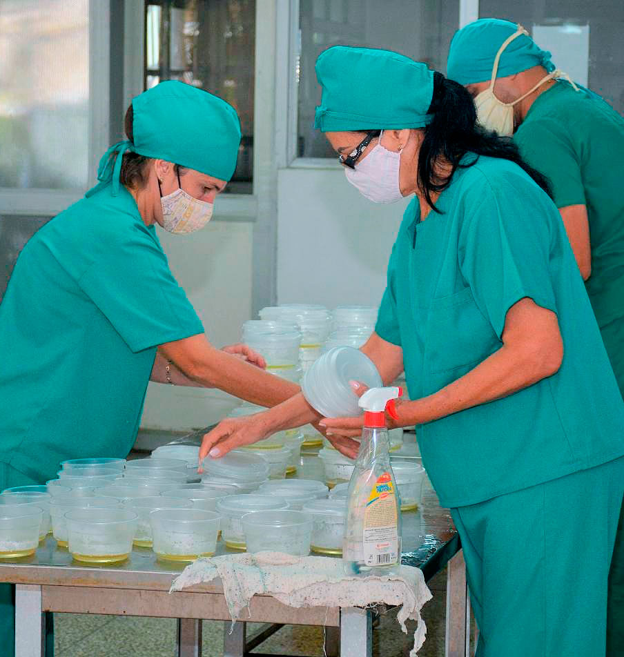 Labores de producción en el IBP.