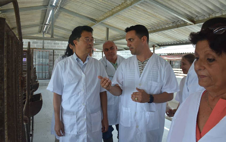 Embajador de Japón dialoga con el productor porcino Yusdany Rojas. Embajador de Japón dialoga con el productor porcino Yusdany Rojas.