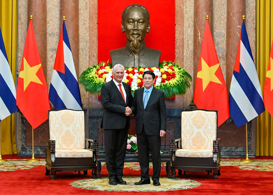 Encuentro entre el presidente cubano, Miguel Díaz-Canel, y el presidente de Vietnam, Luong Cuong.