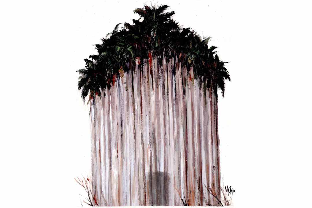 Vanguardia - Villa Clara - Cuba