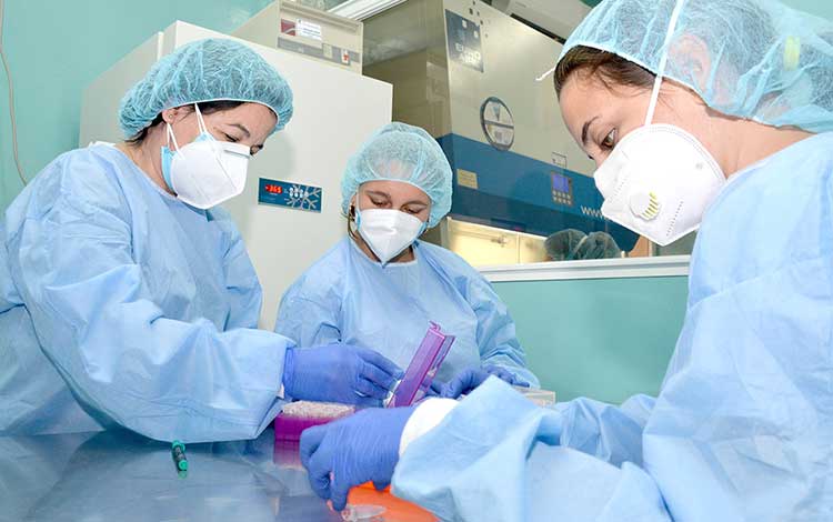Mujeres trabajando en el Laboratorio de Biología Molecular de Villa Clara.