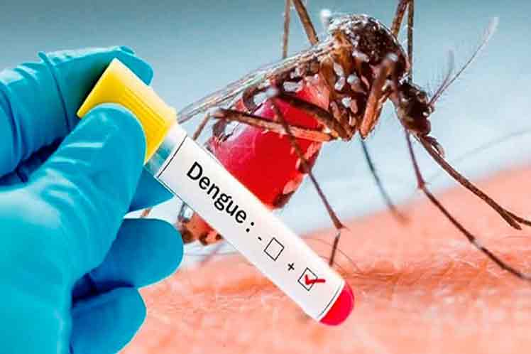 Mosquito Aedes aegypti, transmisor del dengue.