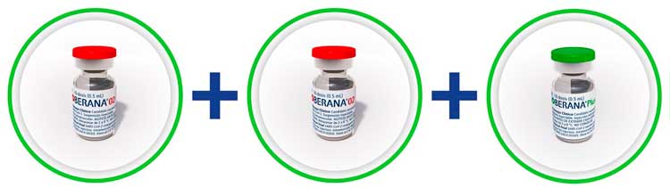 Esquema de vacunación con dos dosis de la vacuna cubana Soberana 02 y una tercera con Soberana Plus. Esquema de vacunación con dos dosis de la vacuna cubana Soberana 02 y una tercera con Soberana Plus.