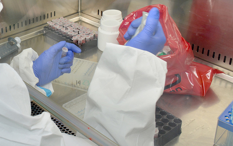 Laboratorio de Biología Molecular de Villa Clara.