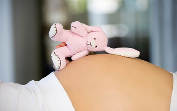 Embarazada adolescente con juguete de peluche sobre la barriga. Embarazada adolescente con juguete de peluche sobre la barriga.