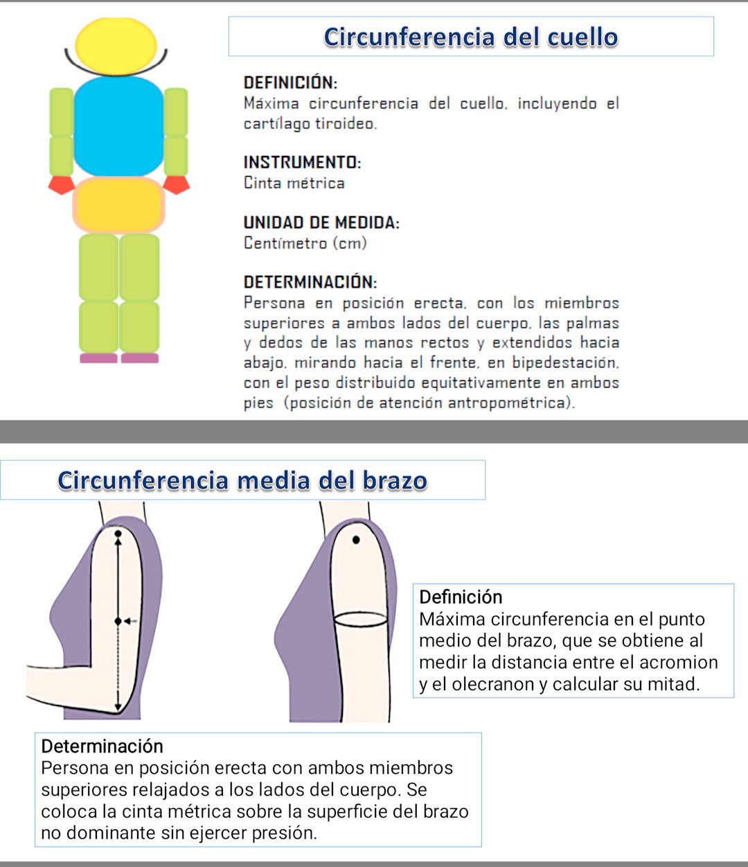 Mediciones de brazo y el cuello para determinar tempranamente la obesidad en el embarazo.