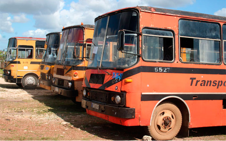 í“mnibus de la base de Transporte Escolar de Corralillo, Villa Clara. í“mnibus de la base de Transporte Escolar de Corralillo, Villa Clara.