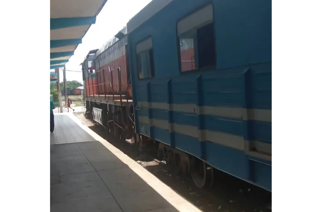 Tren univesitario