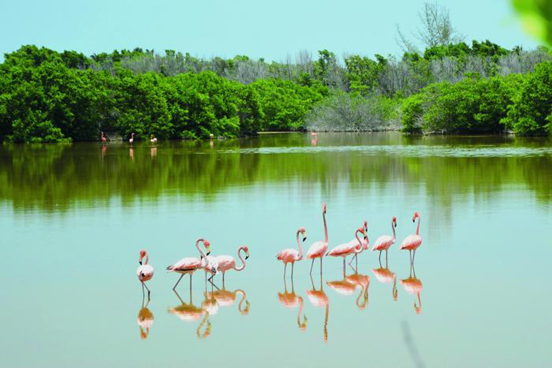 Vanguardia - Villa Clara - Cuba