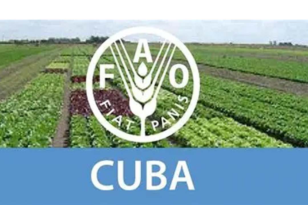 Vanguardia - Villa Clara - Cuba